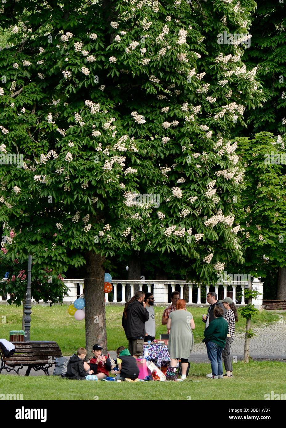 La famiglia ha organizzato una festa rilassante sotto un albero nel parco con bambini che giocano a carte e adulti che chiacchierano a Sofia Bulagaria, Europa orientale, Balcani, UE Foto Stock