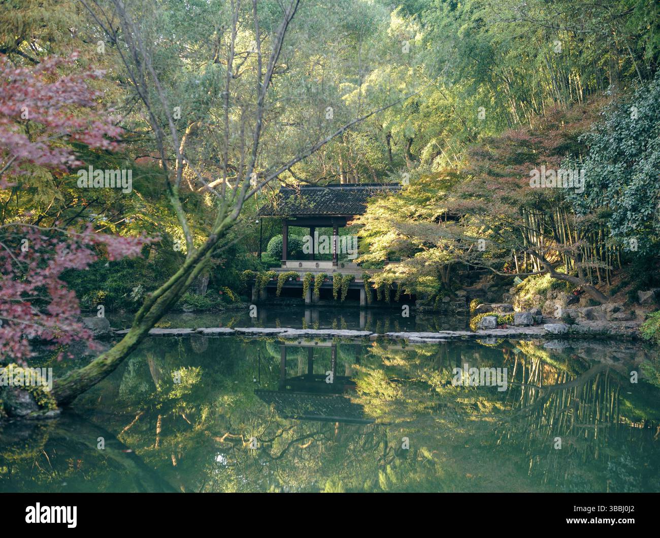 Riflesso autunnale del padiglione d'acero e bambù sullo stagno sereno in un giardino cinese classico Foto Stock