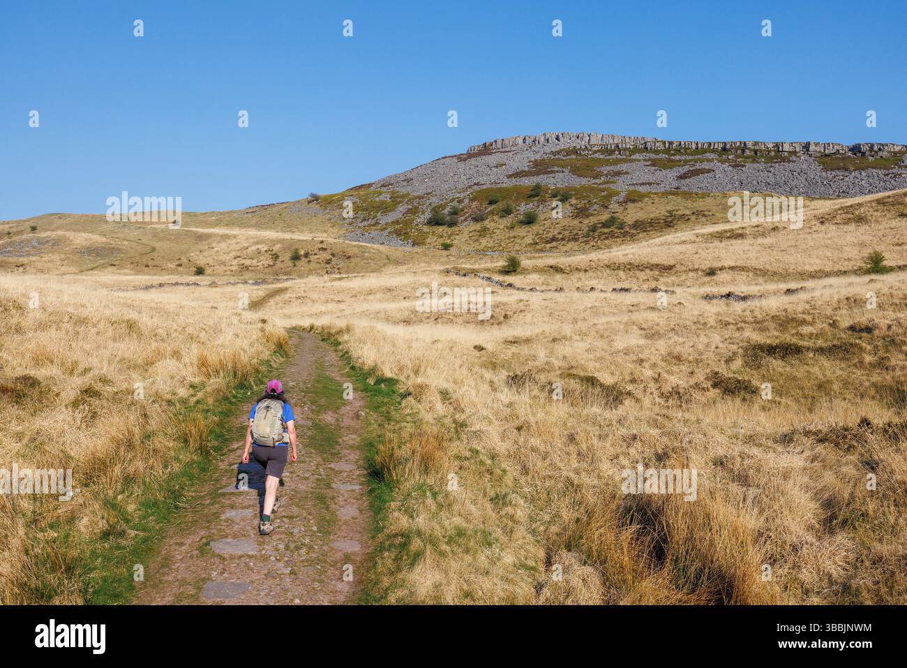 Riserva naturale nazionale di Ogof Ffynnon DDU, Swansea Valley, Galles, Regno Unito Foto Stock