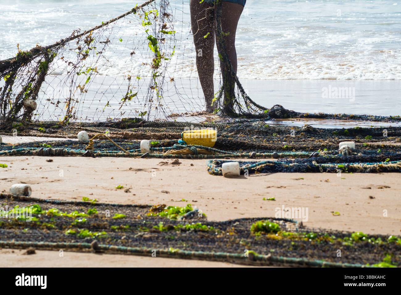 Mezzo corpo di un pescatore non identificato che tira una rete da pesca. specialità di pesce, hobby. Brasile Foto Stock
