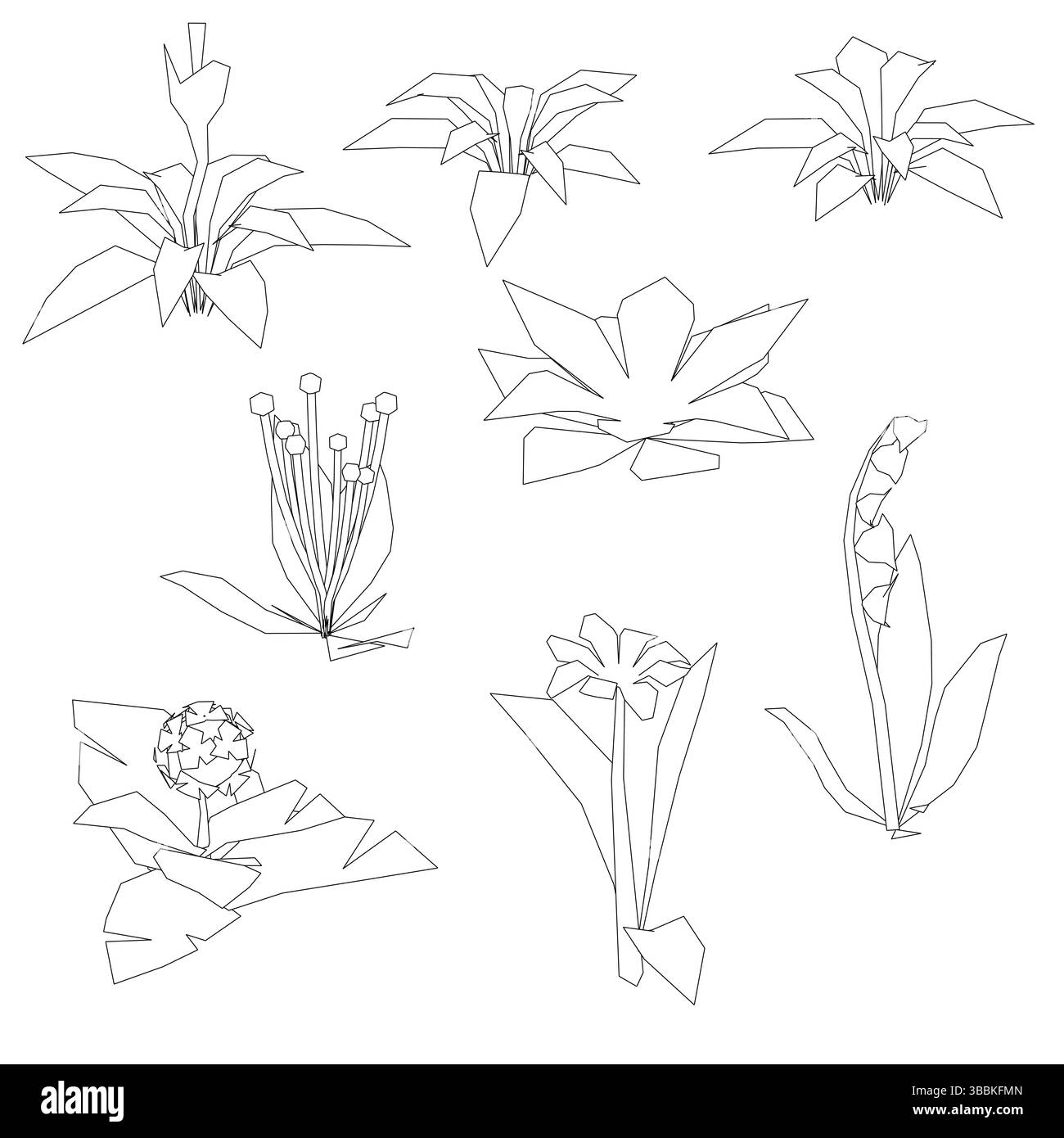 Una serie di disegni di fiori in varie fasi di crescita. I disegni sono tutti in bianco e nero e sono stilizzati in modo da sembrare disegnati Illustrazione Vettoriale