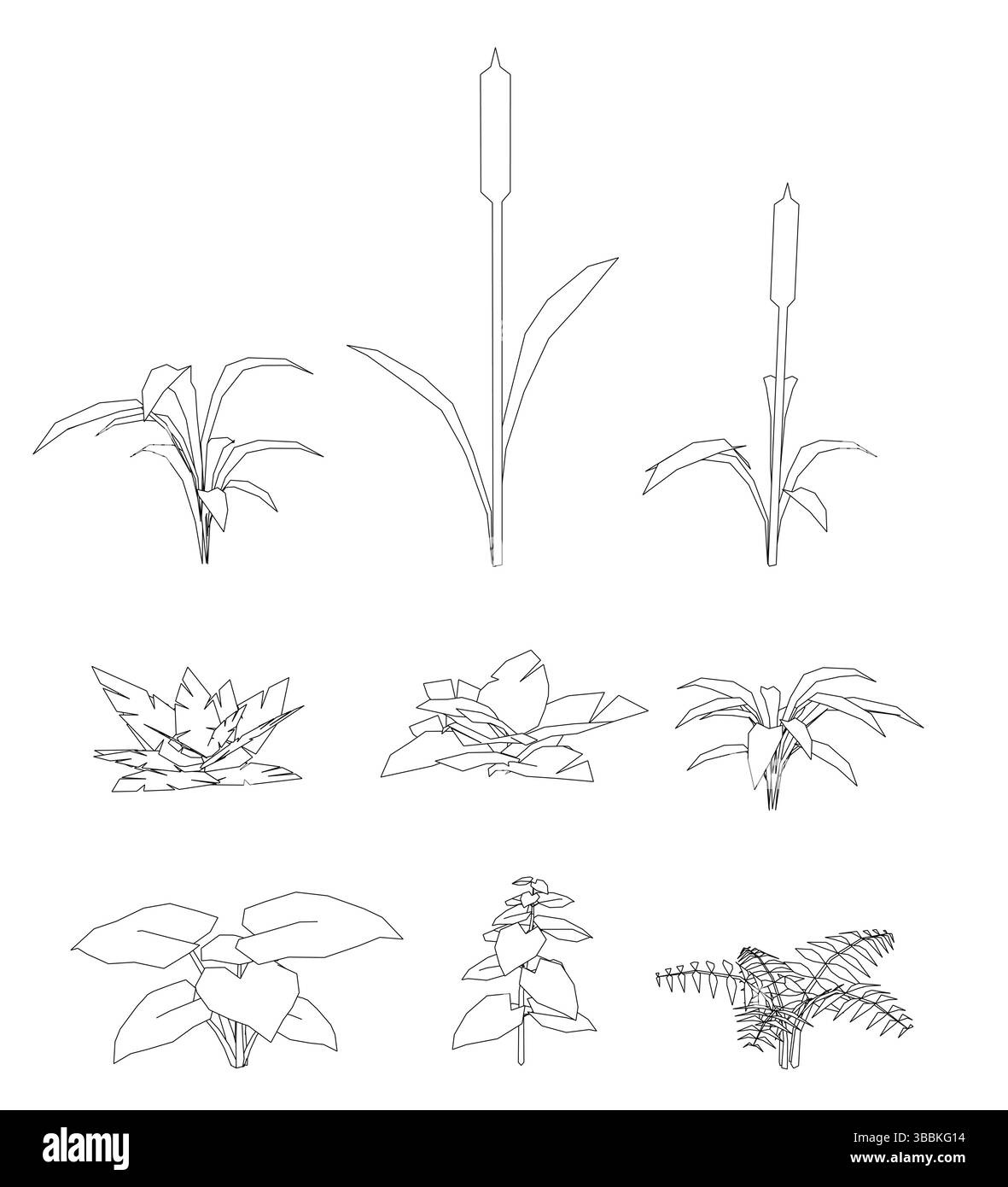 Una varietà di piante diverse, tra cui una pianta alta con uno stelo lungo e una piccola pianta con uno stelo a foglia. Le piante sono tutte disegnate in nero e bianco Illustrazione Vettoriale