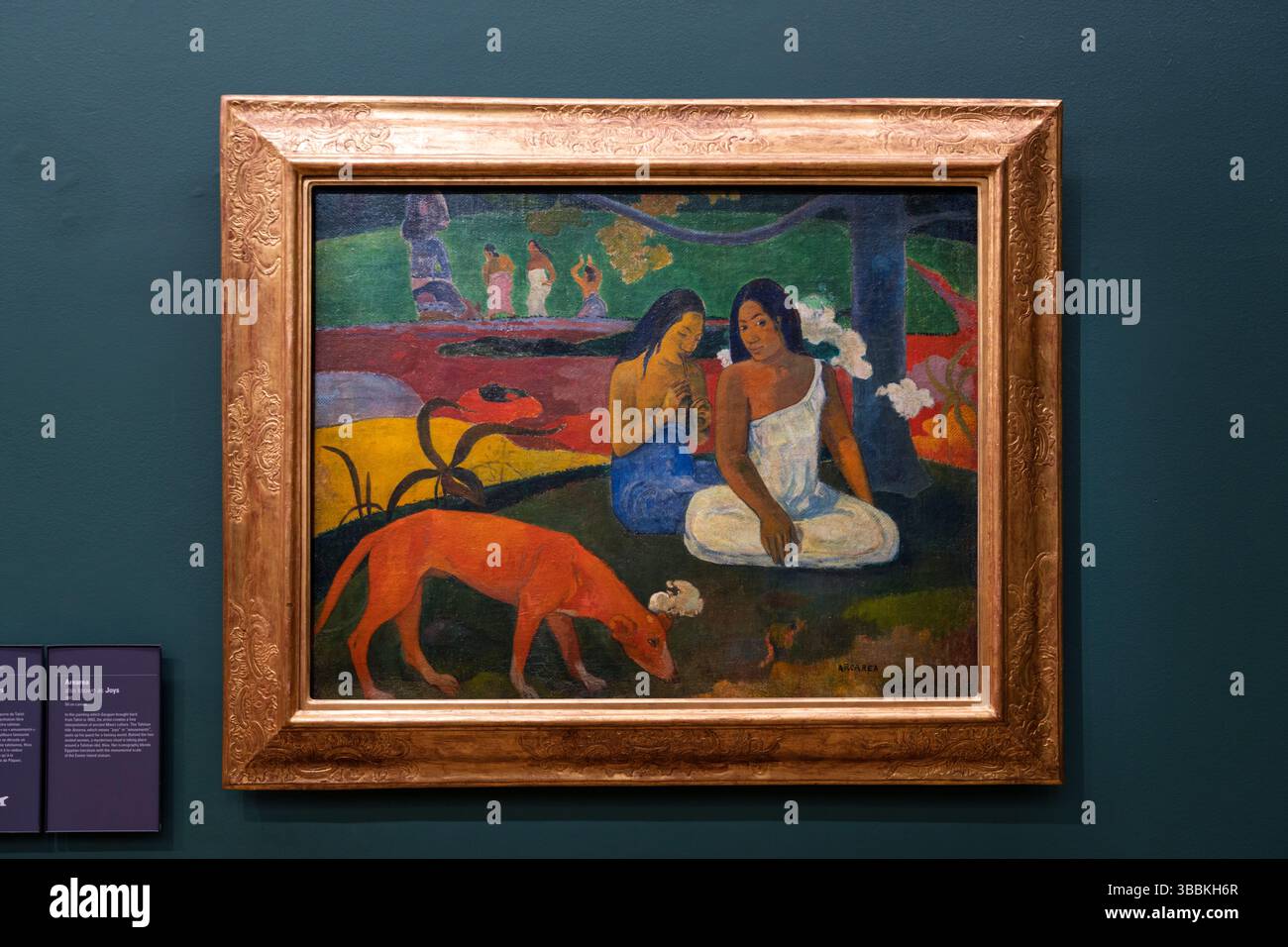 Pittura di Gaugin, Muse dÕOrsay mostra di fotografia d'interni, Parigi, Francia, Europa Foto Stock