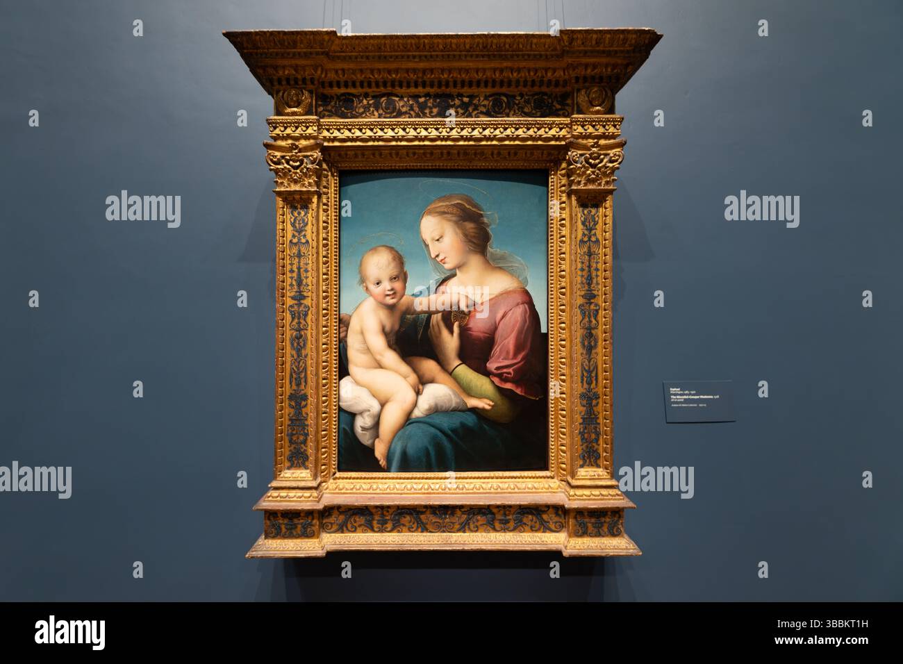 WASHINGTON DC - la "Madonna Niccolini-Cowper" di Raffaello, dipinta nel 1508 su un pannello ad olio, è esposta alla National Gallery of Art come parte della collezione Andrew W. Mellon. Questo capolavoro dell'alto Rinascimento mette in mostra lo stile in evoluzione di Raffaello, caratterizzato da figure più naturali e robuste e da un legame intimo tra madre e figlio rispetto alle sue opere precedenti. Il dipinto rappresenta un momento cruciale nella carriera di Raffaello, completato poco prima del suo trasferimento a Roma, dove il suo stile si sarebbe ulteriormente sviluppato sotto l'influenza dell'arte e dell'architettura antica. Foto Stock