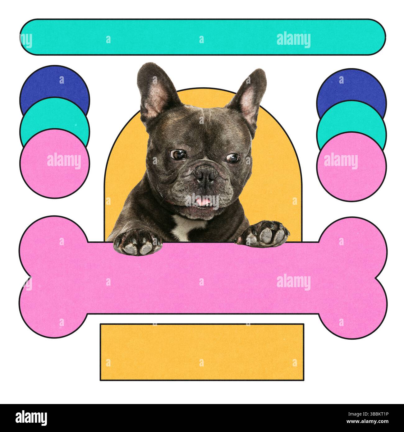 Bulldog francese sbircia sull'icona dell'osso rosa, centrata all'interno di un arco giallo, circondato da pile di forme geometriche multicolore Foto Stock