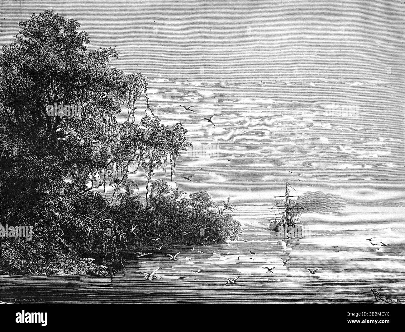 Estuario del fiume Maroni, alias Marowijne, Lawa o Litani,.Sud America. Il fiume costituisce un confine tra la Guyana francese e il Suriname. Incisione vintage o storica o illustrazione 1866 Foto Stock