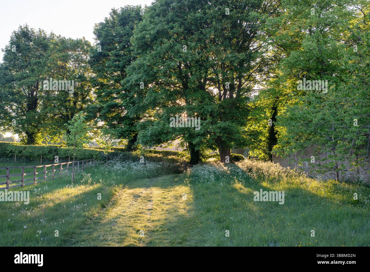 Sentiero in primavera nel villaggio di Dean, Cotswolds, Oxfordshire, Inghilterra Foto Stock