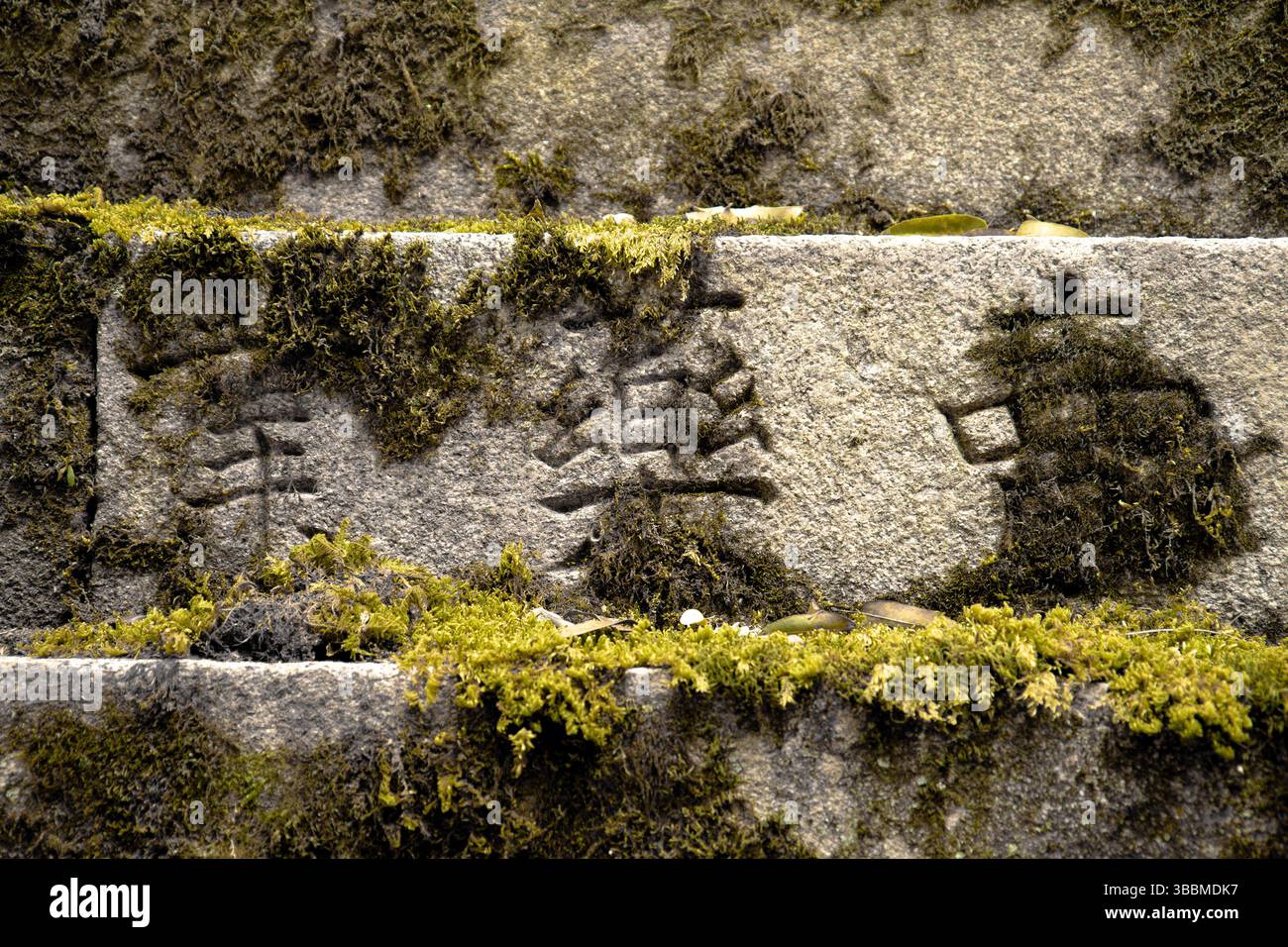 Primo piano di una placca di pietra pallida incisa con il kanji “呈樂声” (musica), parzialmente ricoperta di muschio e rivelando una sottile consistenza invecchiata a Nara, in Giappone Foto Stock