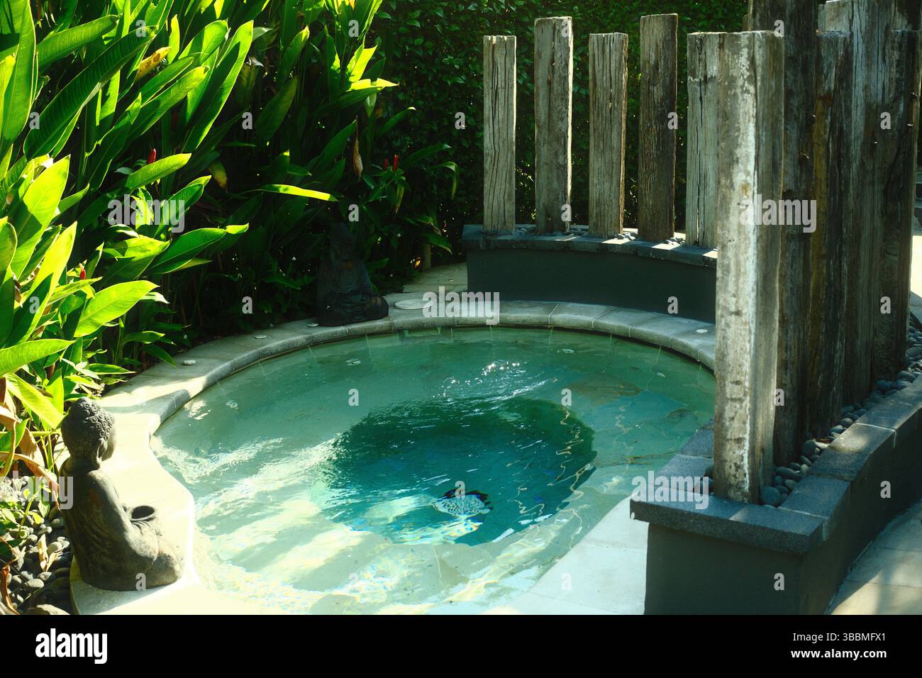 Una piccola piscina termale di acqua calda circondata da piante tropicali, statue e pilastri di legno naturale Foto Stock