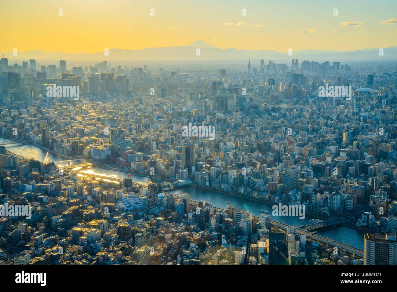 Foto ad alta risoluzione del paesaggio urbano di Tokyo scattata dalla piattaforma di osservazione Tokyo Skytree. Offre ampie vedute della capitale giapponese, tra cui la S. Foto Stock
