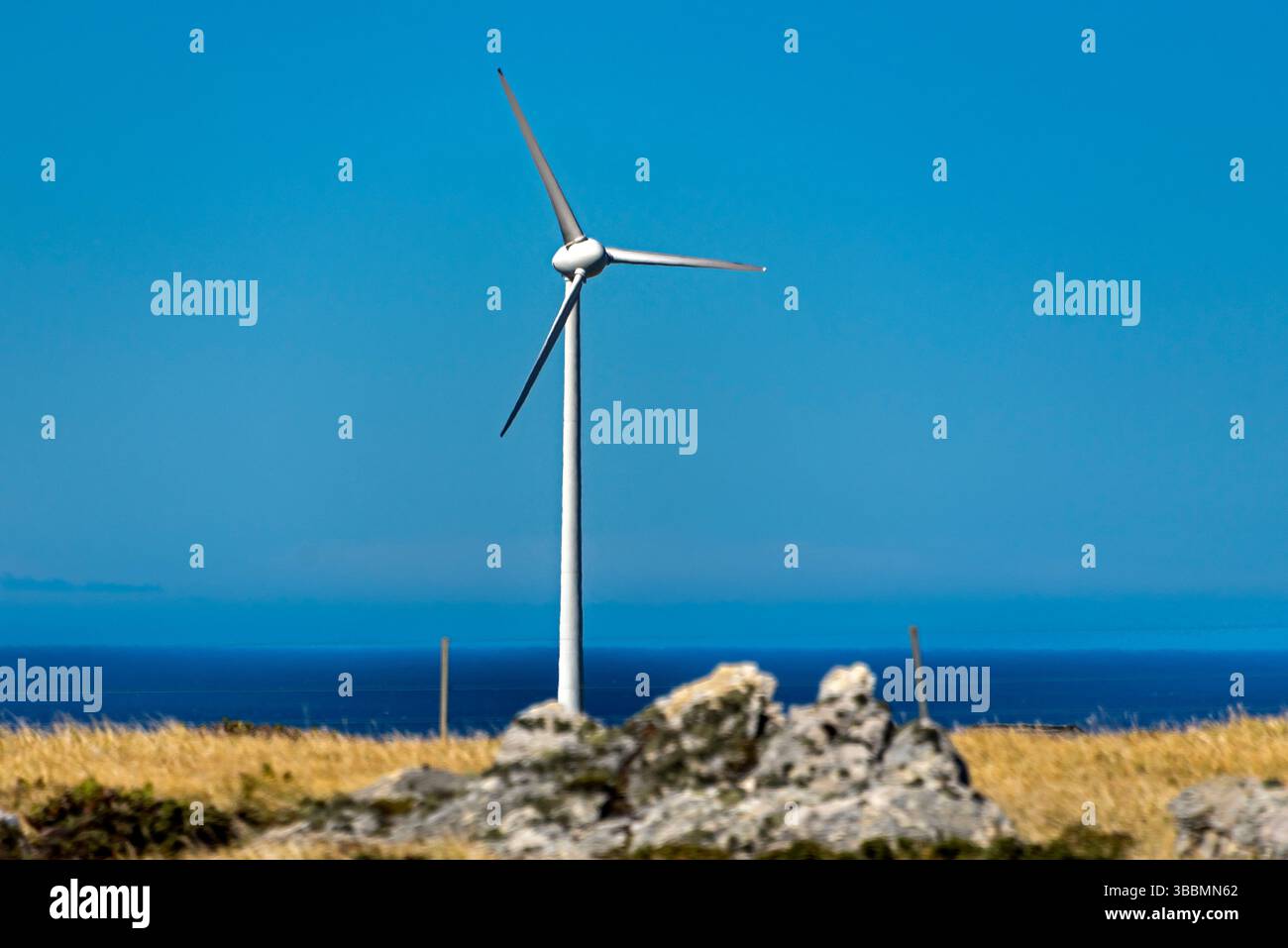 Generatori eolici. Isole Falkland Foto Stock