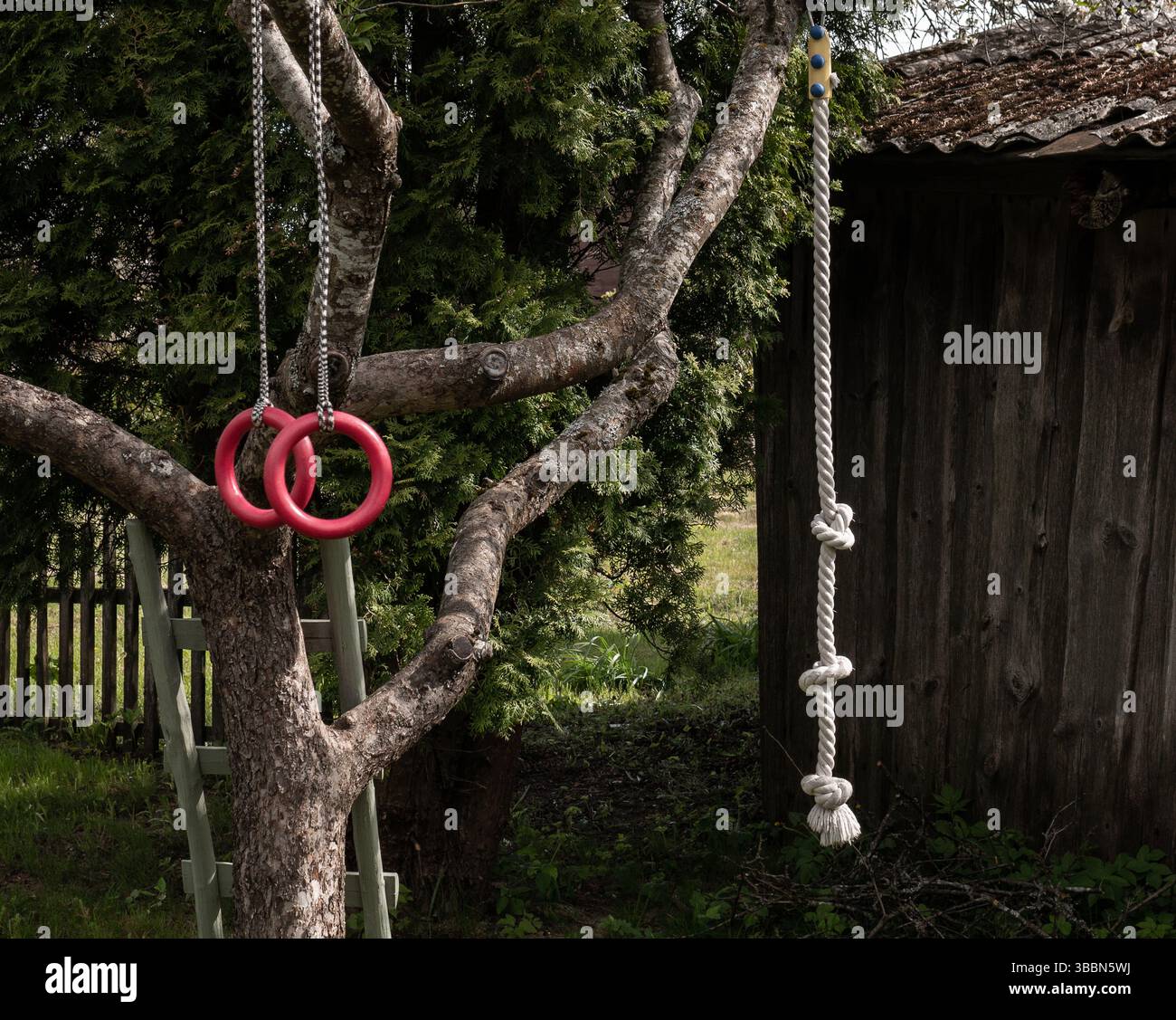 Giochi per bambini con anelli appesi a un albero in fiore nel giardino primaverile Foto Stock