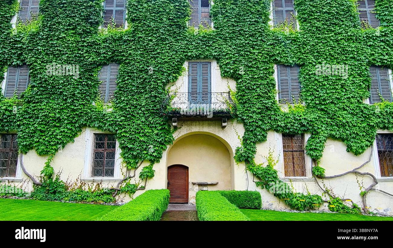 File di finestre e una porta d'ingresso nella parete ricoperta di edera dell'edificio nell'abbazia medievale di Novacella, alto Adige, Italia Foto Stock