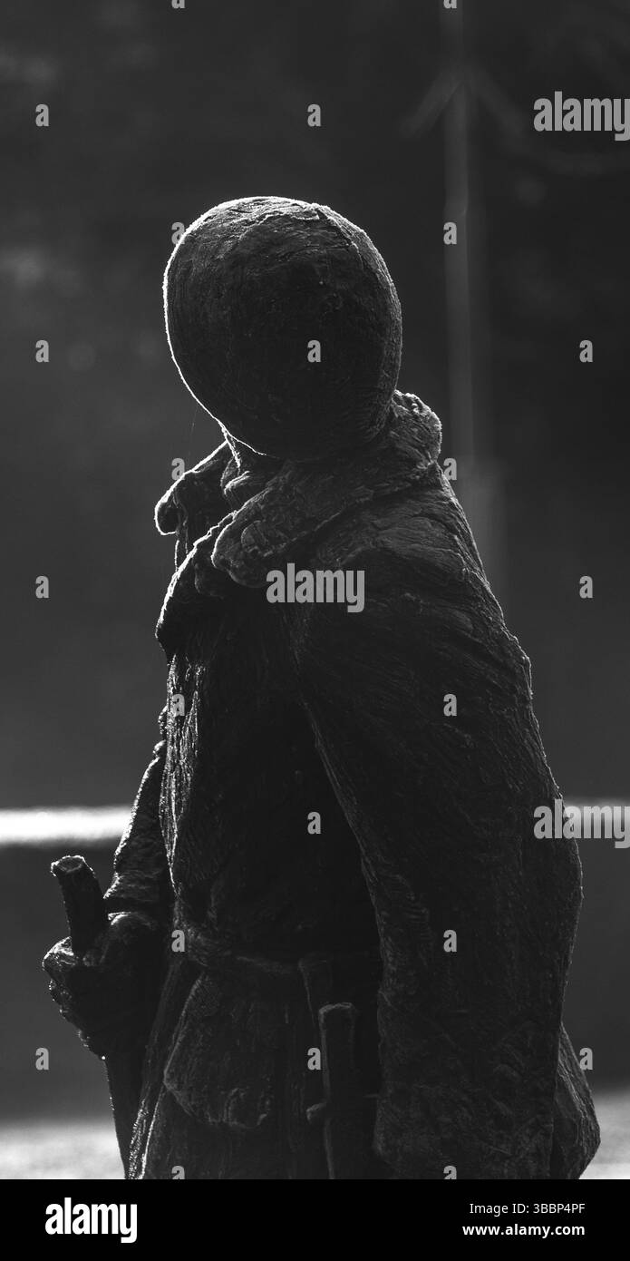 Fisso nel tempo: Il volto della memoria in tempo di guerra Foto Stock