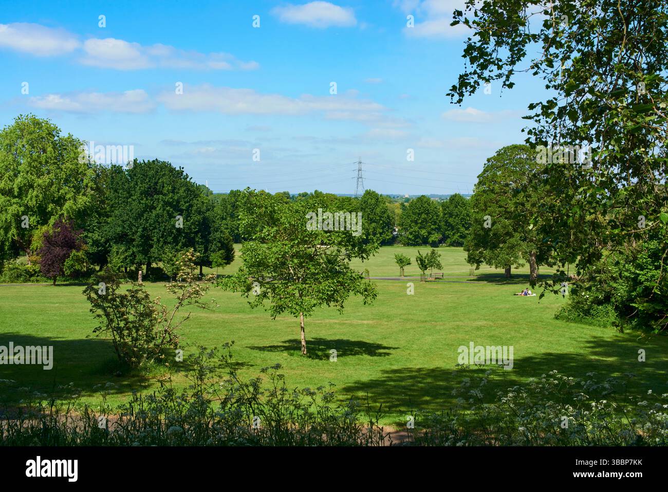 Springfield Park, Upper Clapton, Londra Regno Unito, in tarda primavera Foto Stock