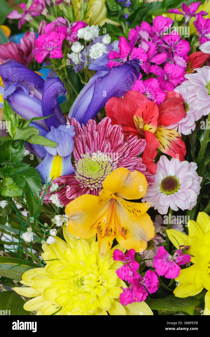 Un vivace assortimento di fiori mostra una miscela di colori e tipi, tra cui margherite gialle, Iris viola e garofani rosa. Foto Stock