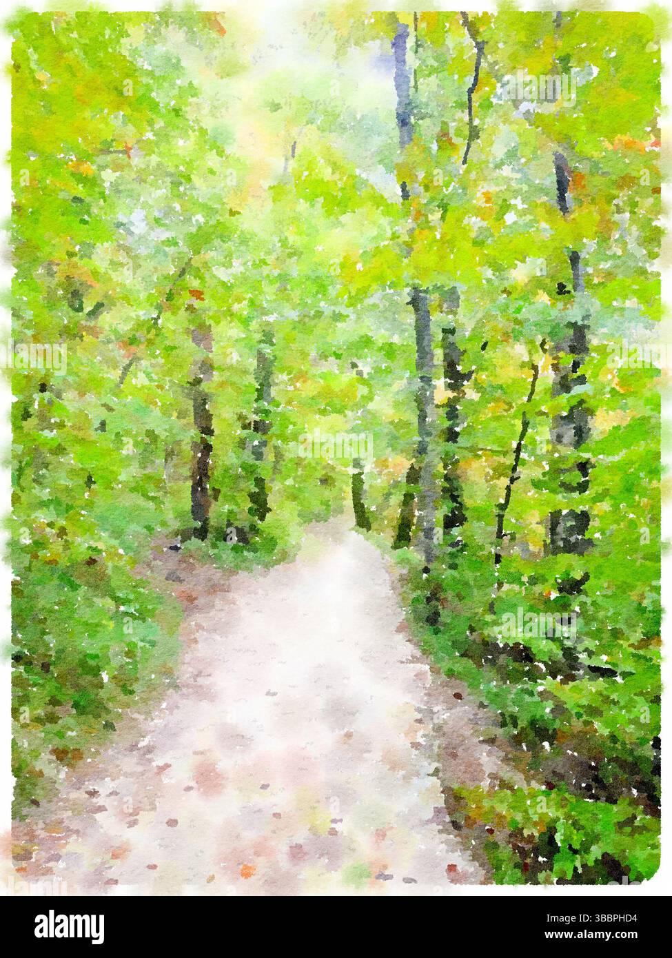 Acquerello digitale di una fitta foresta verde nel Parco Nazionale di Plitvice, Croazia, che cattura ricche foglie e alberi alti alla luce dell'estate. Foto Stock