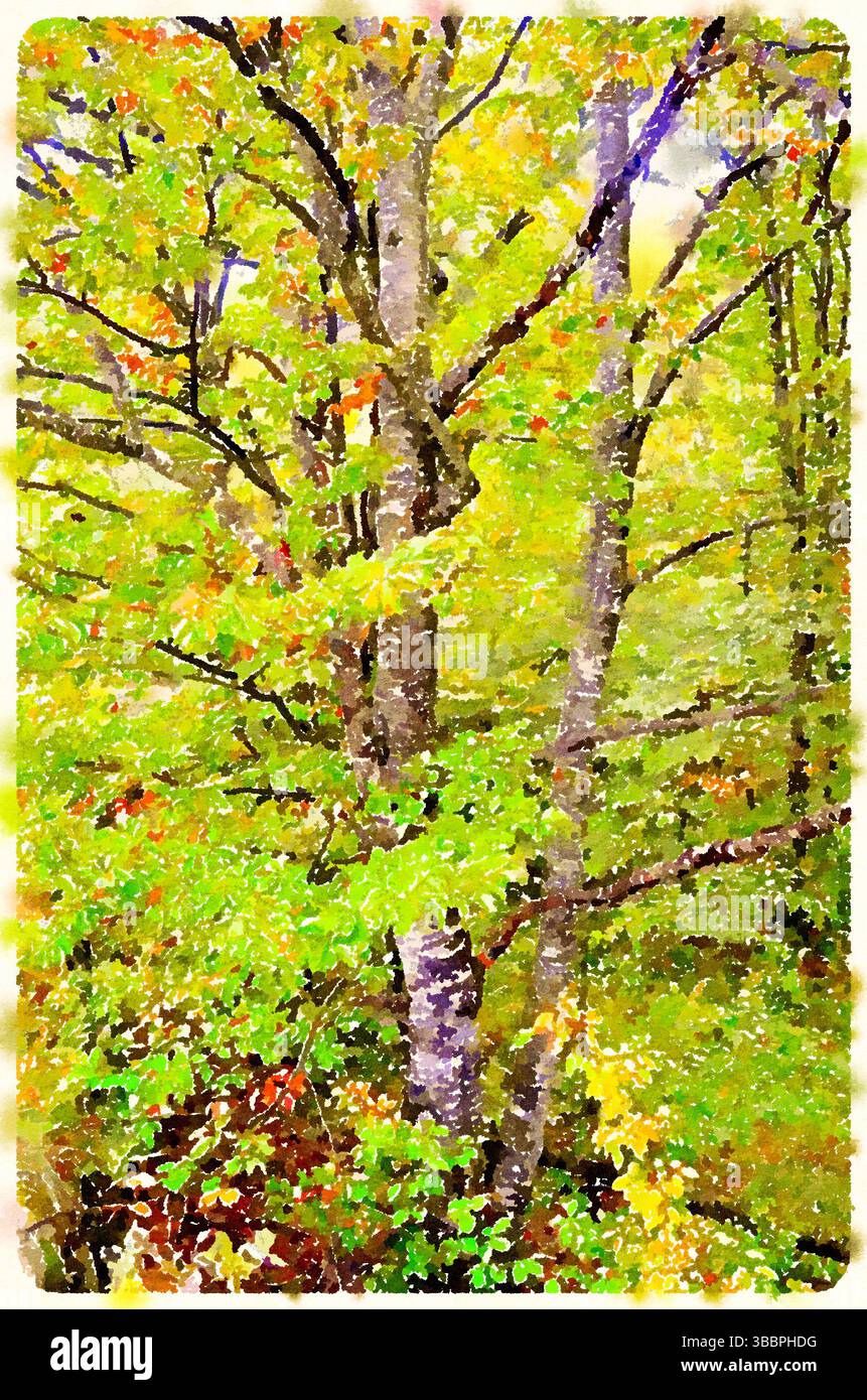 Acquerello digitale di una fitta foresta verde nel Parco Nazionale di Plitvice, Croazia, che cattura ricche foglie e alberi alti alla luce dell'estate. Foto Stock