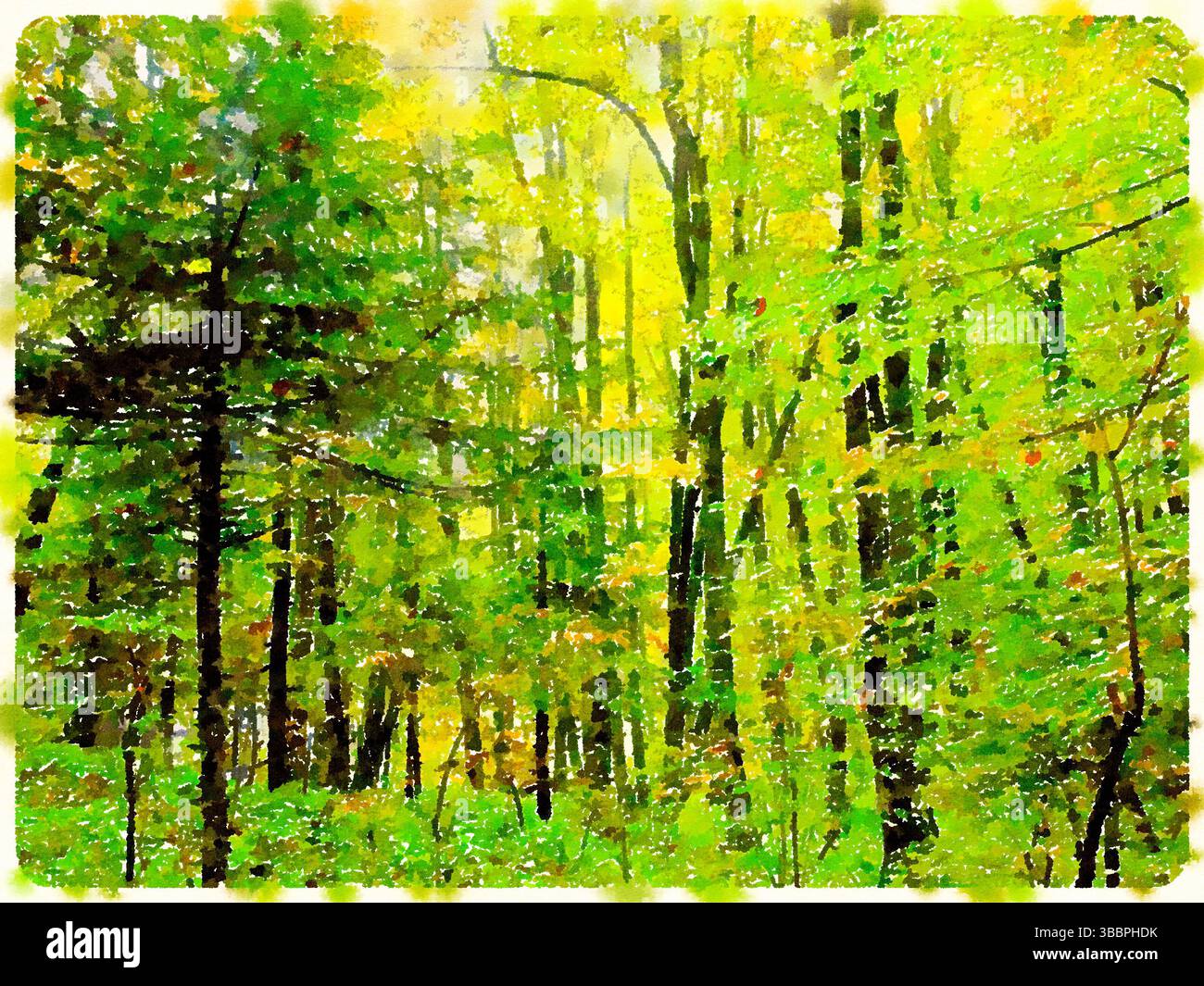 Acquerello digitale di una fitta foresta verde nel Parco Nazionale di Plitvice, Croazia, che cattura ricche foglie e alberi alti alla luce dell'estate. Foto Stock