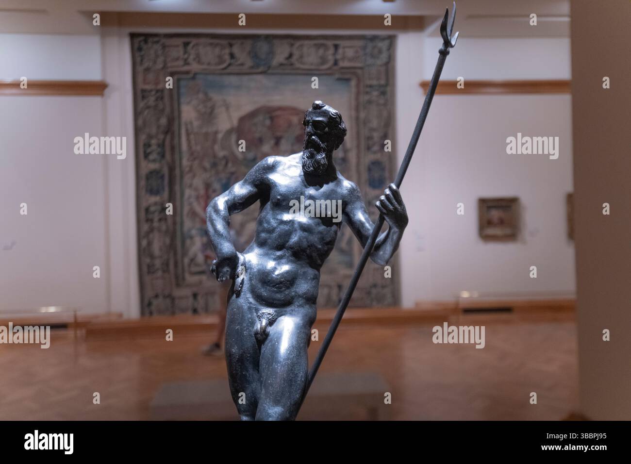 Museo Nacional de Bellas Artes, Colección permanente. Buenos Aires, Argentina Foto Stock