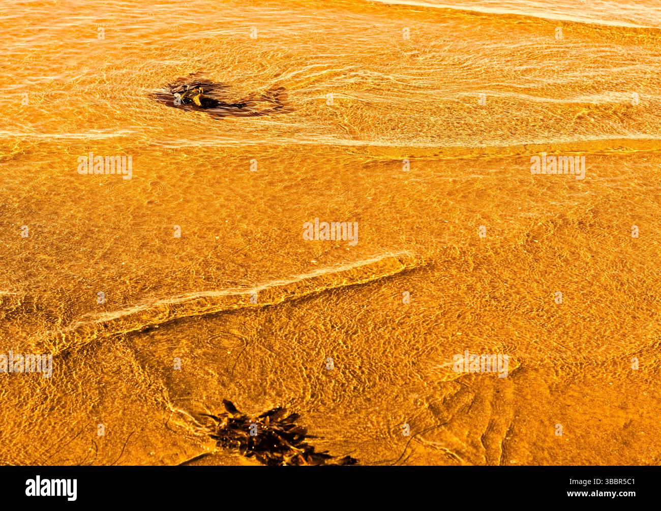 Increspature d'acqua sulla spiaggia Foto Stock