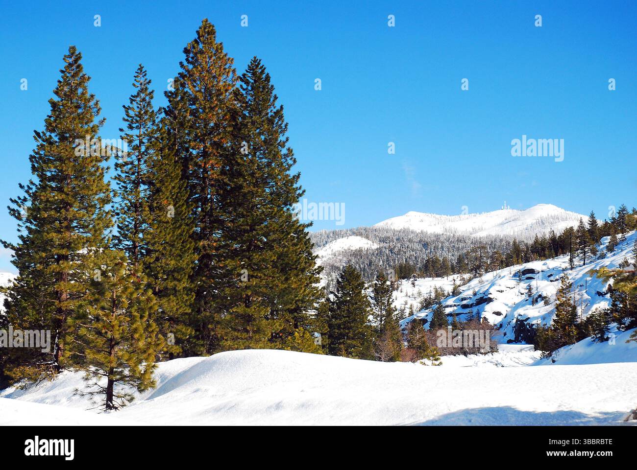 Una scena invernale nelle montagne della Sierra Nevada della California Foto Stock