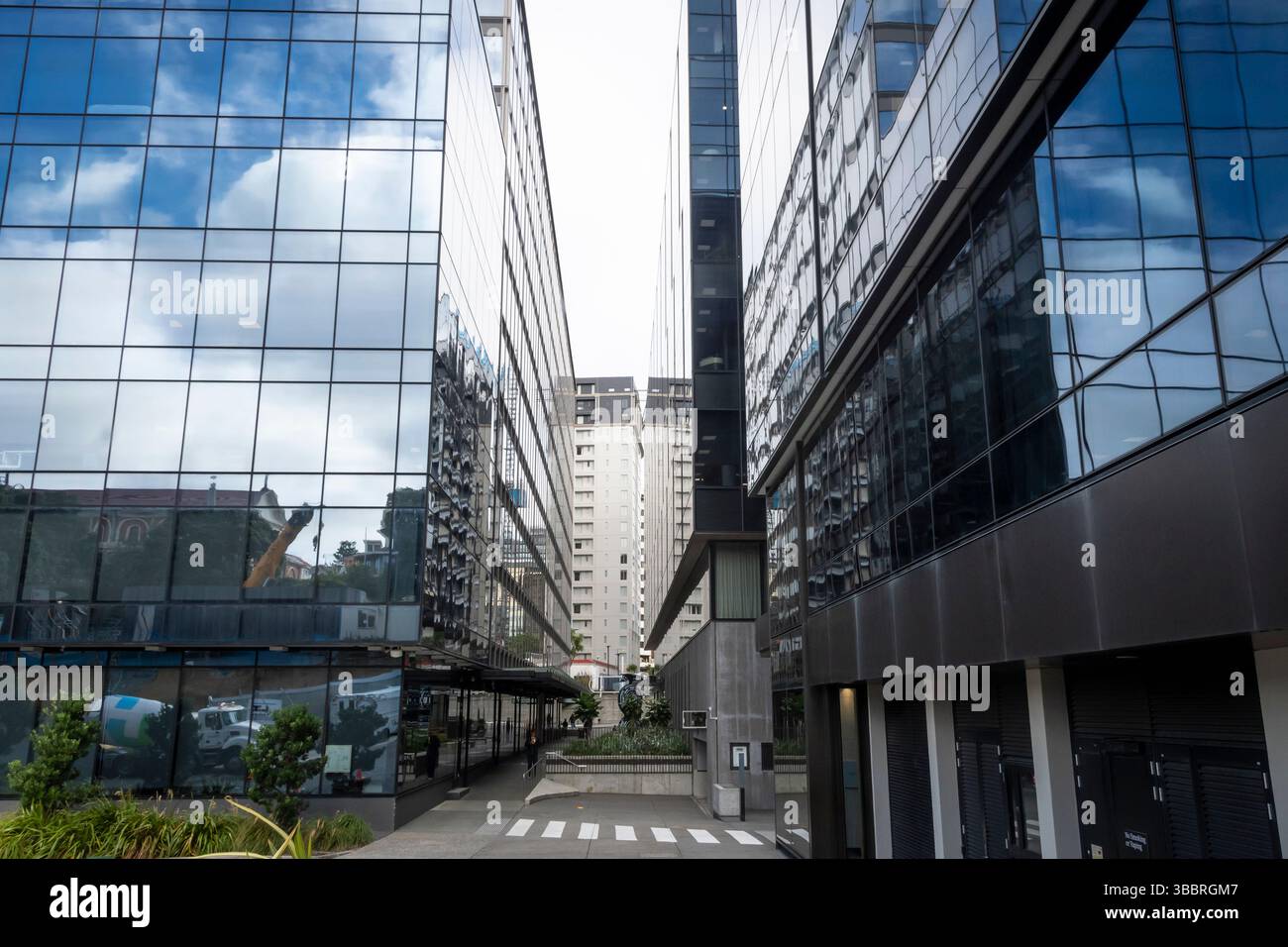 Nuvole bianche e cielo blu riflessi in un edificio di uffici di classe. Wellington, Isola del Nord, nuova Zelanda Foto Stock
