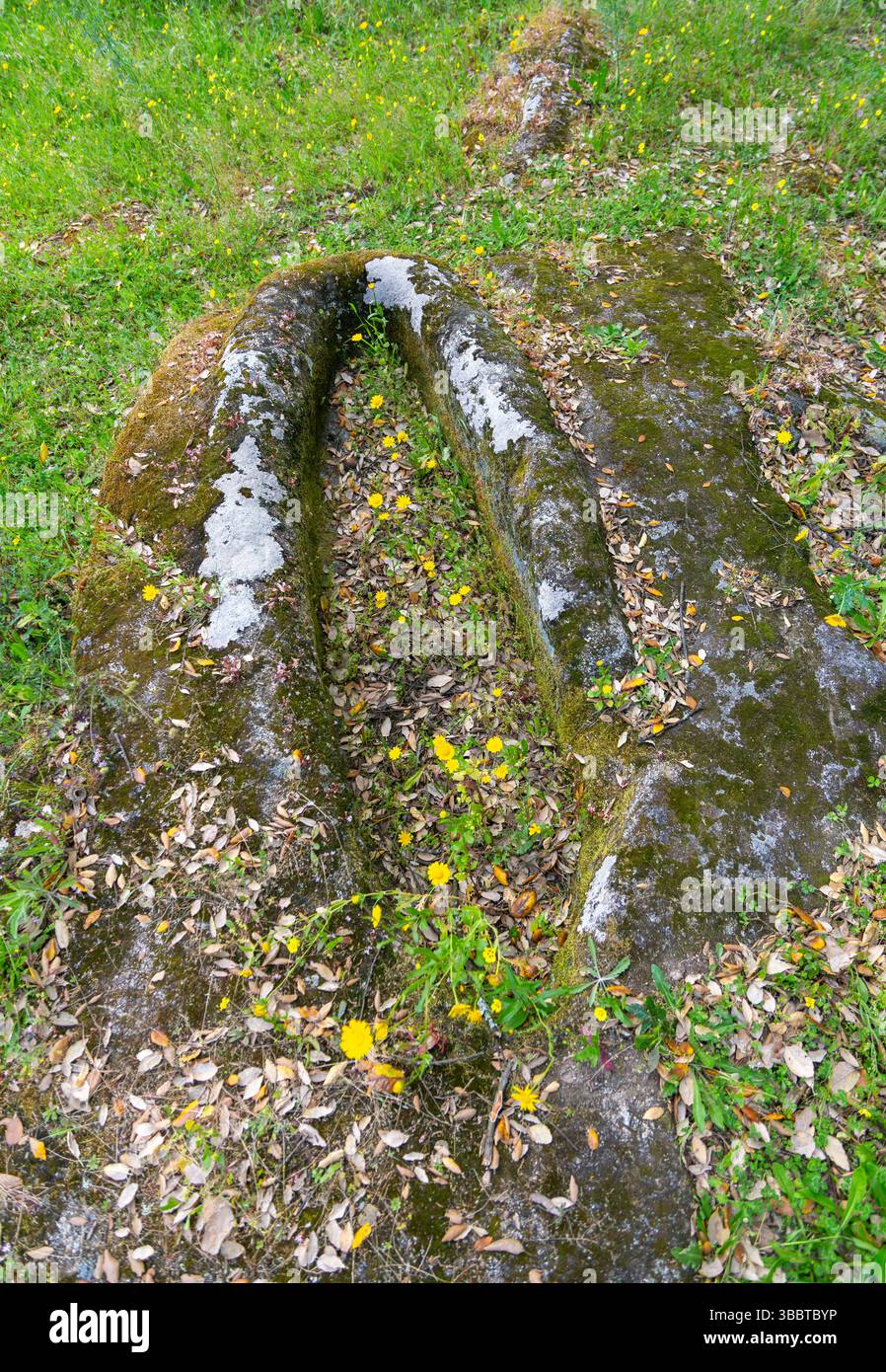 Tombe romane antropomorfe precristiane scavate nella roccia, Santuário Romano de Frende, Baiao, Frende, Portogallo, Europa Foto Stock