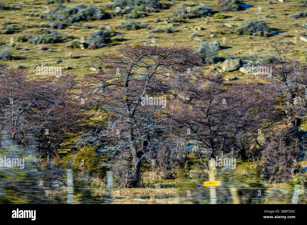 Il Parco Nazionale Torres del Paine si trova nella regione di Magallanes e dell'Antartide cilena, comune di Torres del Payne, provincia di Última Esperanz Foto Stock