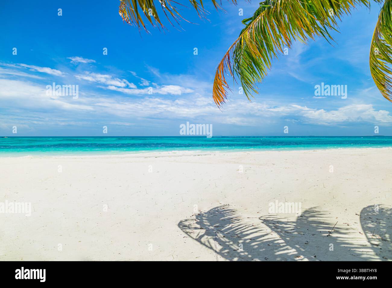 Splendida spiaggia estiva, cornice di foglie di palma, vista mare cristallina, spiaggia di sabbia soffice e cielo blu ideale per vacanze tropicali sull'isola Foto Stock