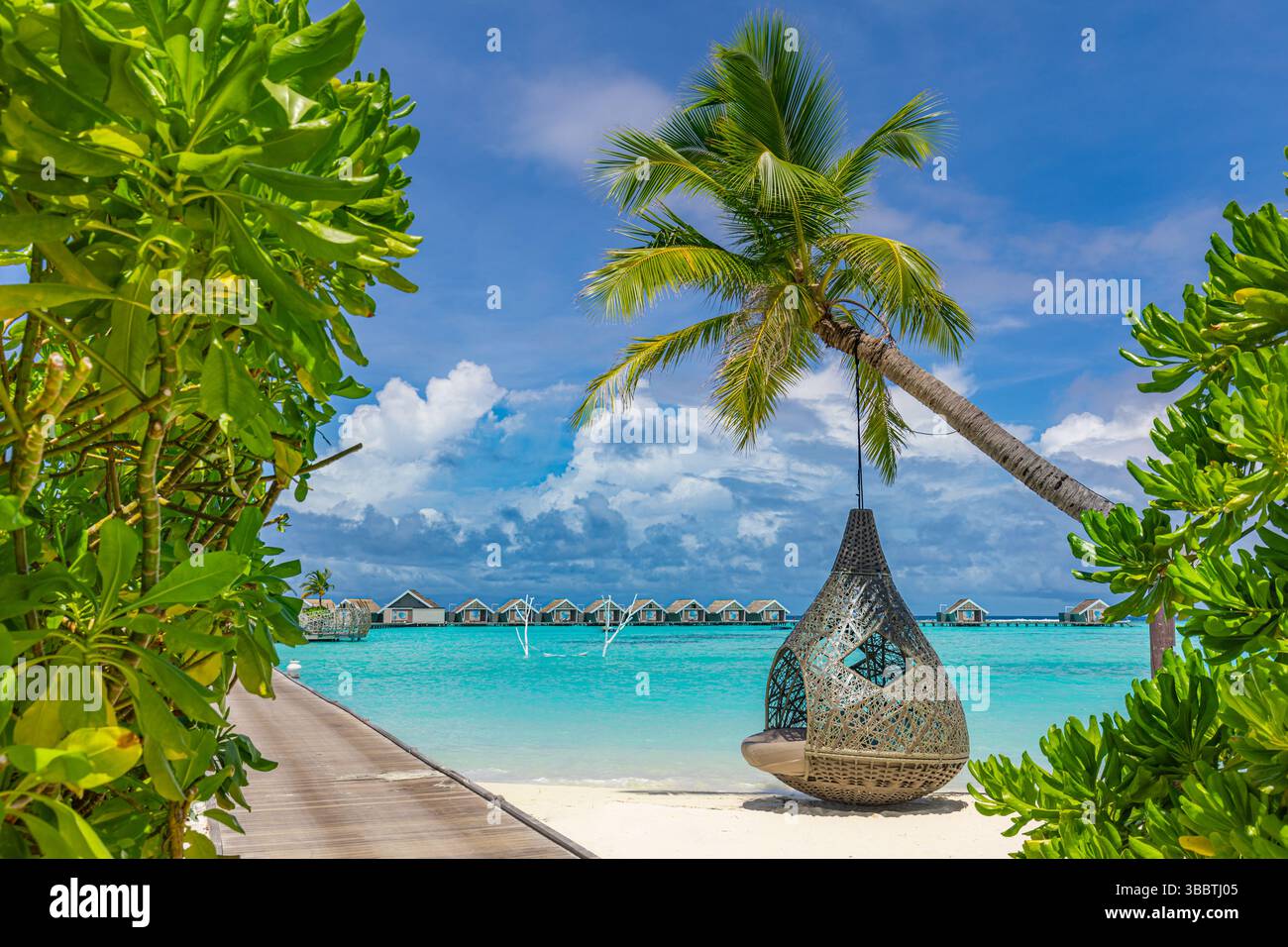 Romantico e tranquillo paradiso tropicale palme altalena isola tranquilla. Splendida spiaggia soleggiata. Vacanza da sogno in spiaggia estiva Foto Stock
