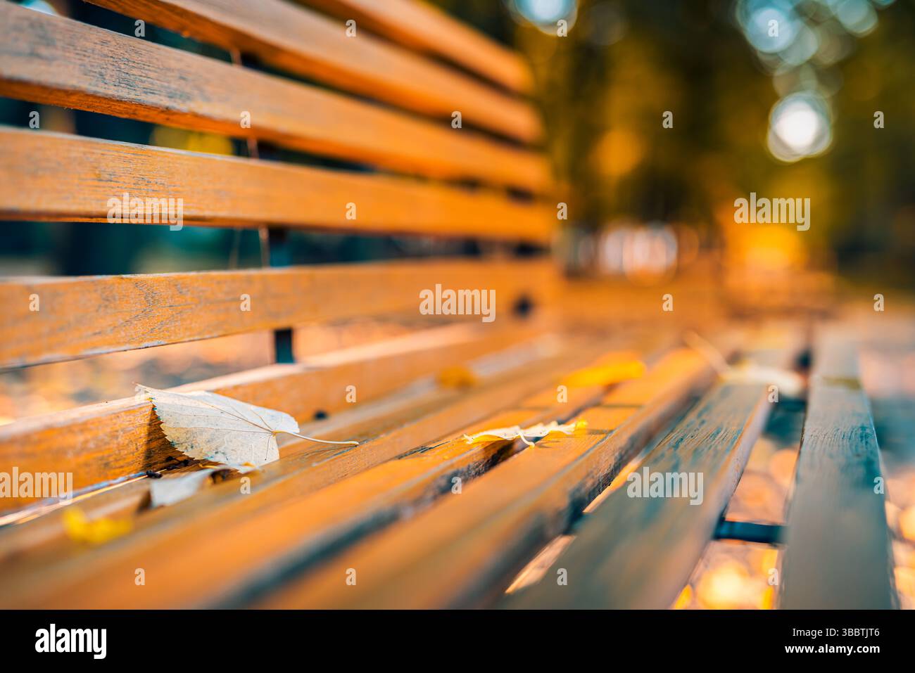 Bellissimo primo piano della panchina autunnale con foglie cadute nel giardino del parco a terra con alberi bokeh sfocati fogliame stagionale sfondo naturale Foto Stock