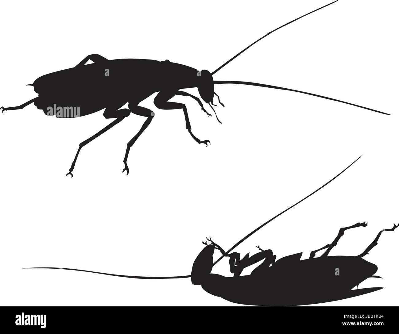 Silhouette vettoriali scarafaggi. Vivo e morto. EPS 8 Illustrazione Vettoriale