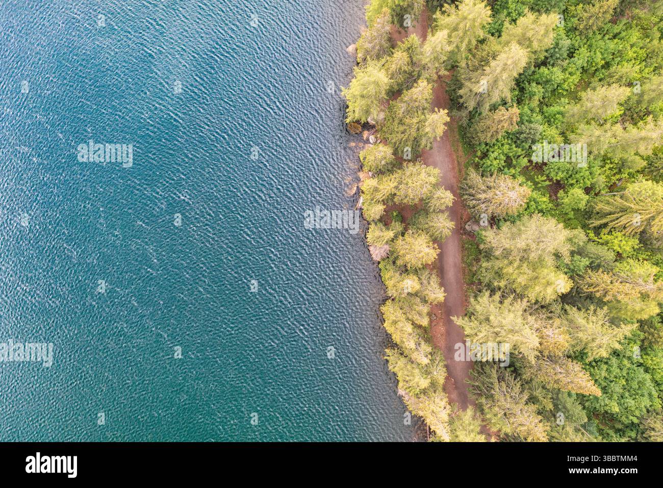 Tranquilla vista aerea della riva del lago con pini e sentieri escursionistici di montagna, sfondo naturale panoramico perfetto per viaggi e avventure all'aria aperta Foto Stock