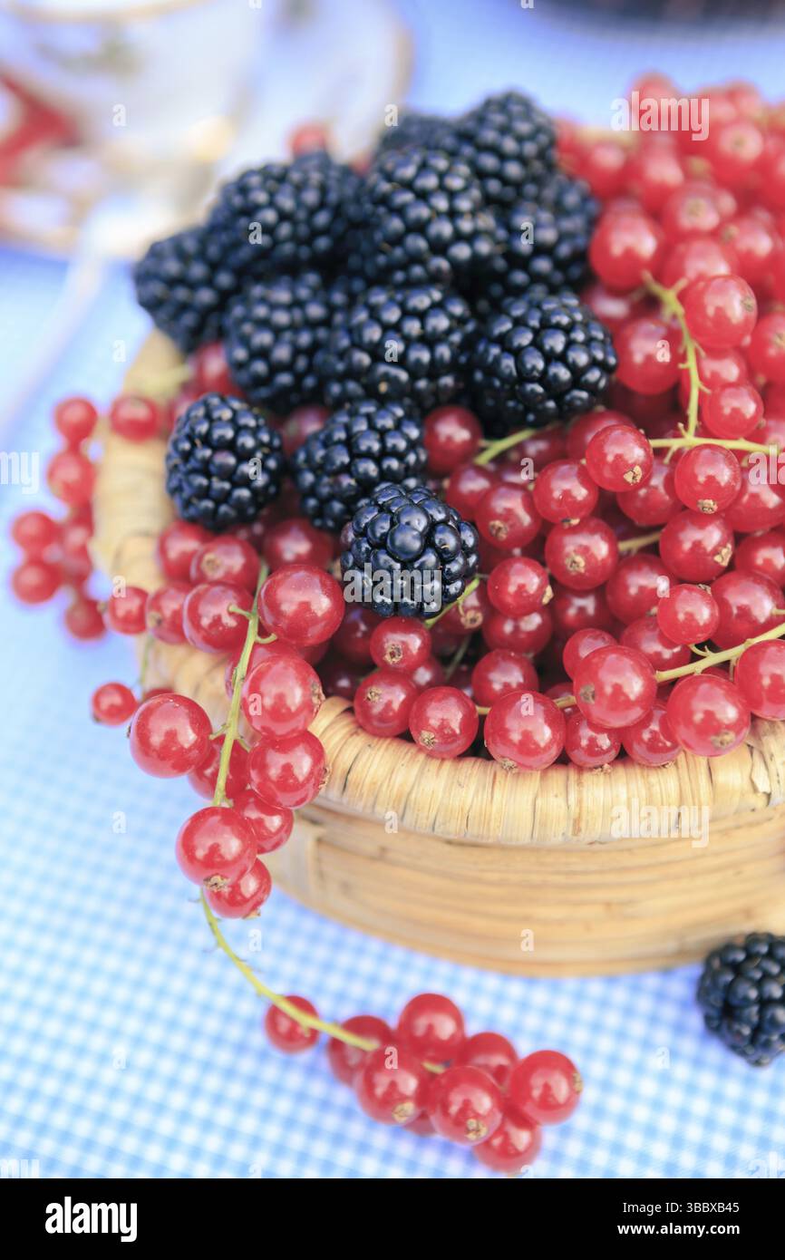 Un piatto con lamponi e ribes rossi Foto Stock