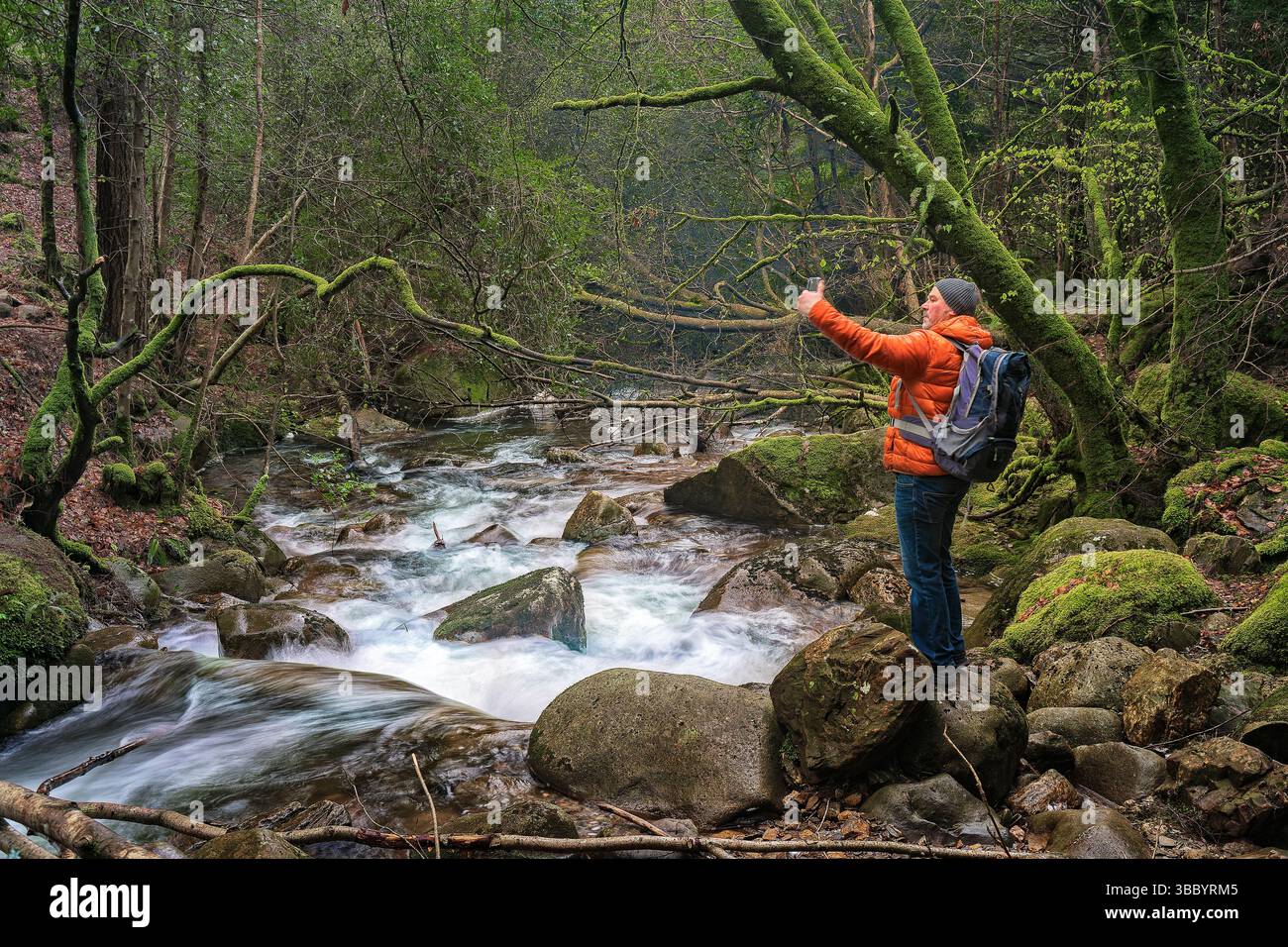 L’uomo cattura le acque impetuose del torrente selvaggio di Glenmalure, nel profondo dell’antica foresta di muschio dell’Irlanda. Foto Stock