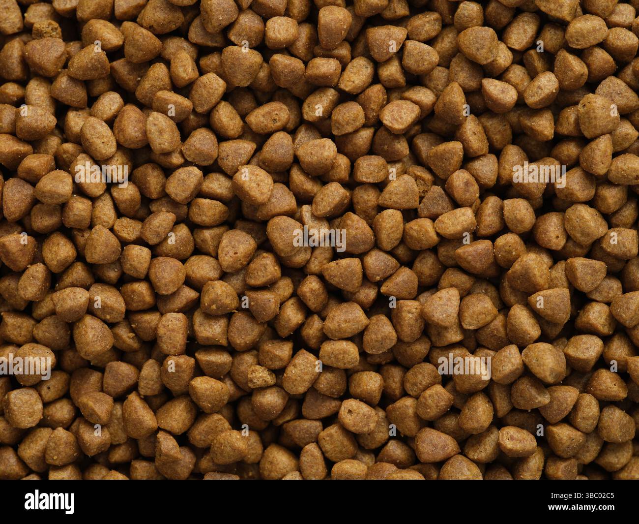 Uno sfondo di cibo per gatti. Primo piano. Foto Stock
