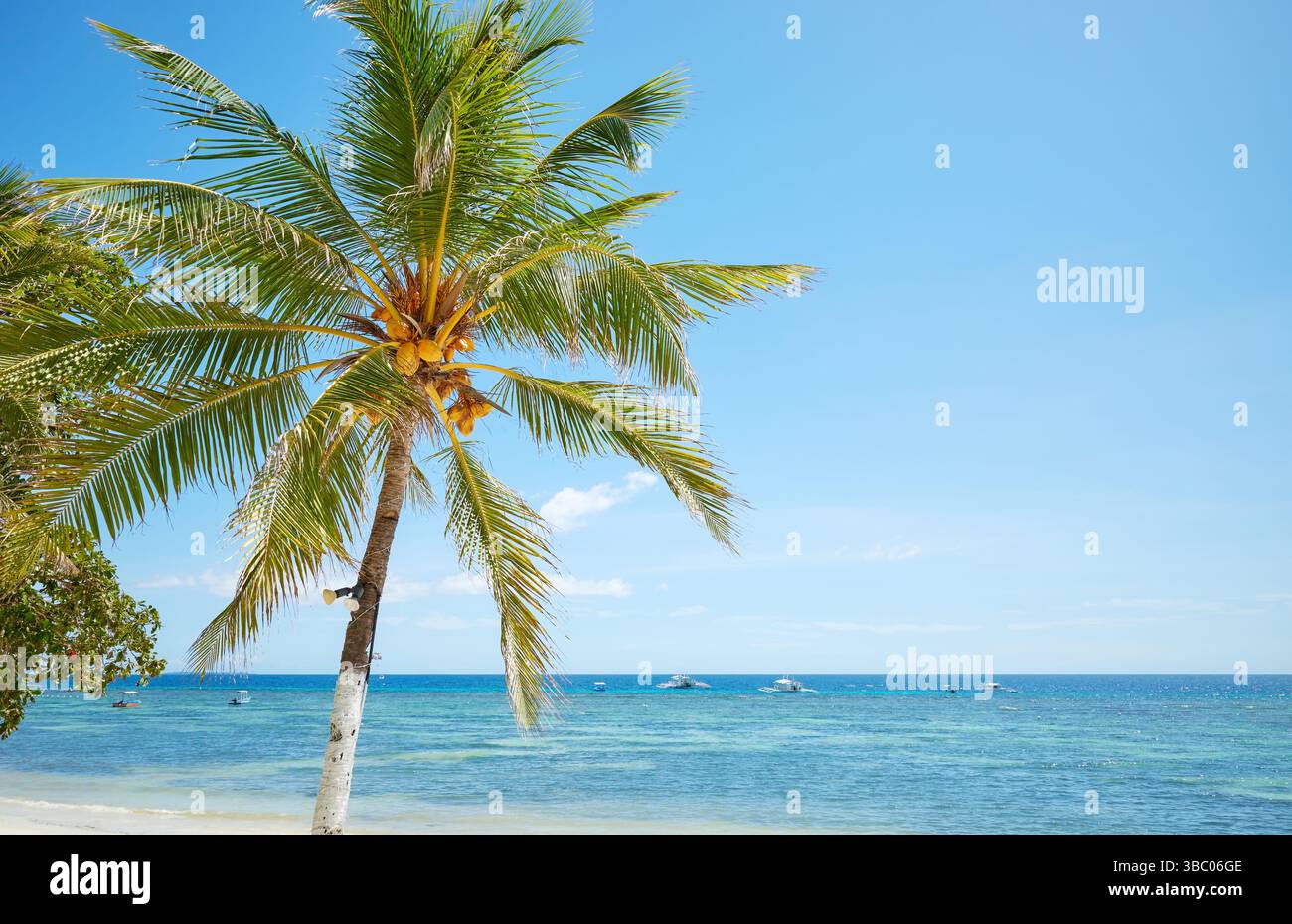 Spiaggia tropicale con palme e mare turchese, perfetto concetto di vacanza estiva. Foto Stock
