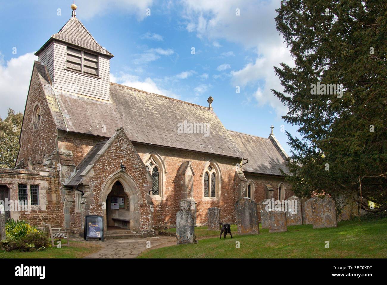 St. Peters Church, Hambledon, Godalming, Surrey, Inghilterra Foto Stock