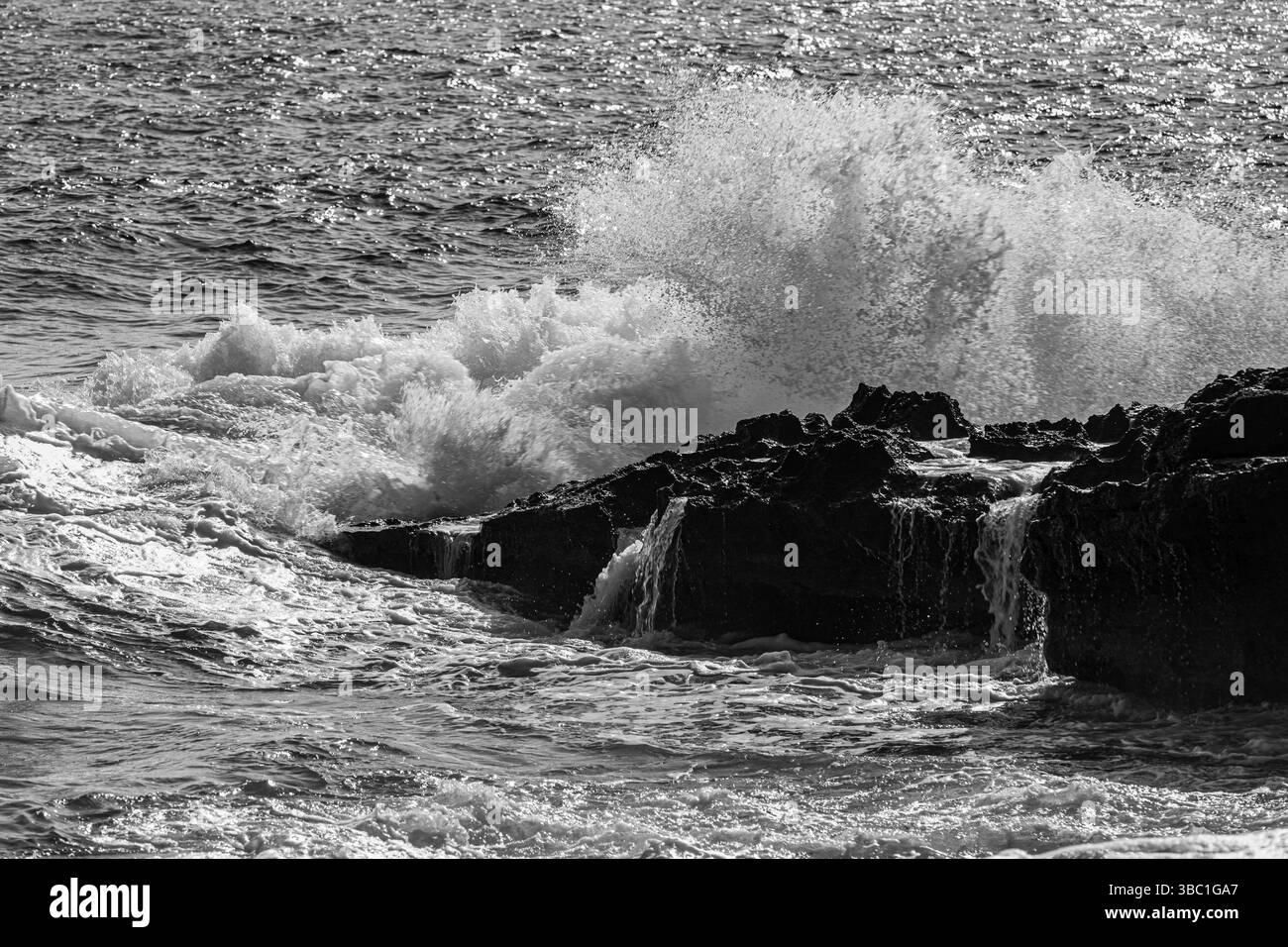 Costa rocciosa frastagliata sulla spiaggia di Stecci, fotografia in bianco e nero, vicino a Capoliveri, Isola d'Elba, Parco Nazionale dell'Arcipelago Toscano, Toscana, Italia, Europa Foto Stock