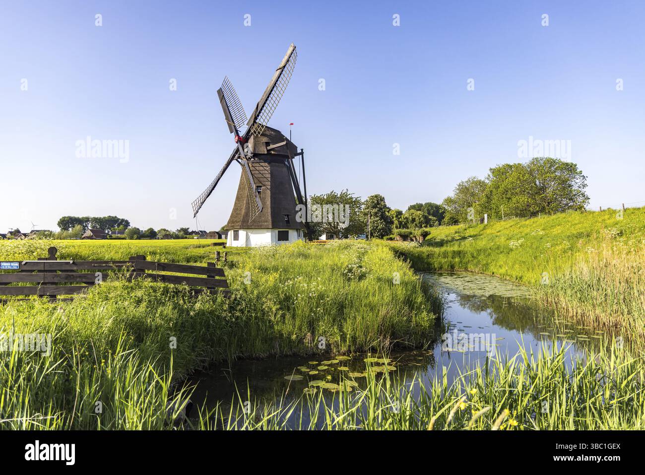 Paesaggio con tipico mulino a vento olandese, classico mulino a vento sotto protezione monumentale. Werkendam, Brabante settentrionale, Paesi Bassi Foto Stock