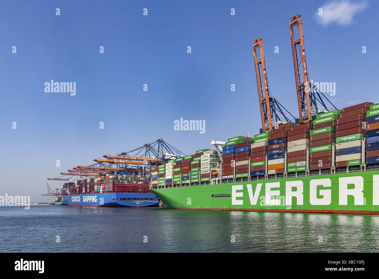 Nave portacontainer MAI DOTATA presso il terminal container Euromax. La mega nave ha una lunghezza di 400 metri. Evergreen Shipping Agency. Terminale contenitore in t Foto Stock