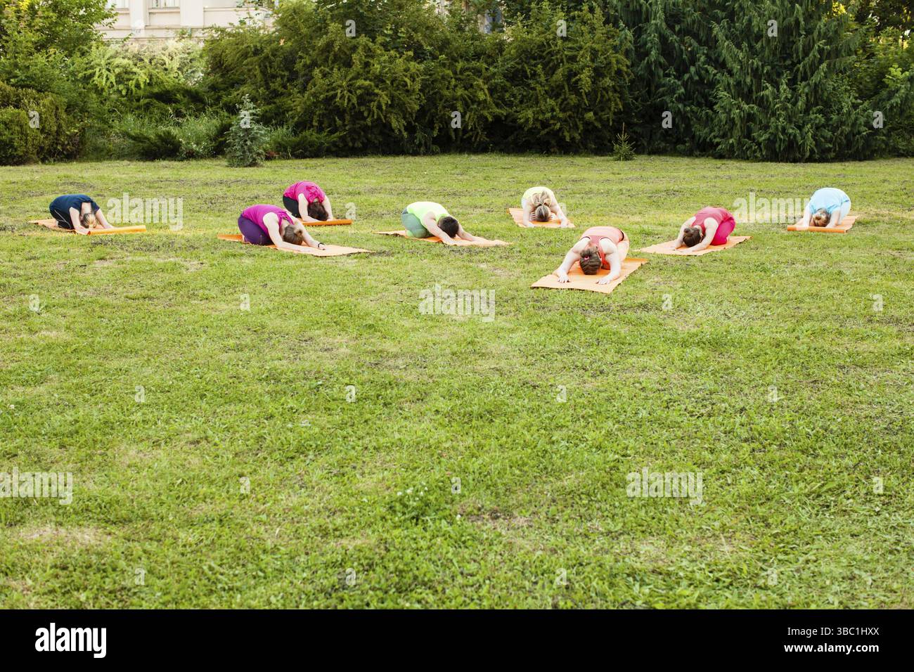 Gruppo di ragazze che si rilassano e fanno i bambini posa in yoga su una natura Foto Stock