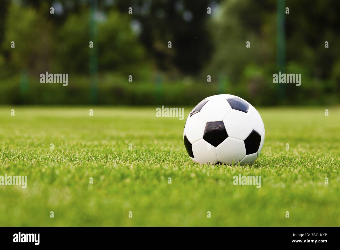 Pallone da calcio su un prato verde di close-up. Concetto - Calcio passione Foto Stock