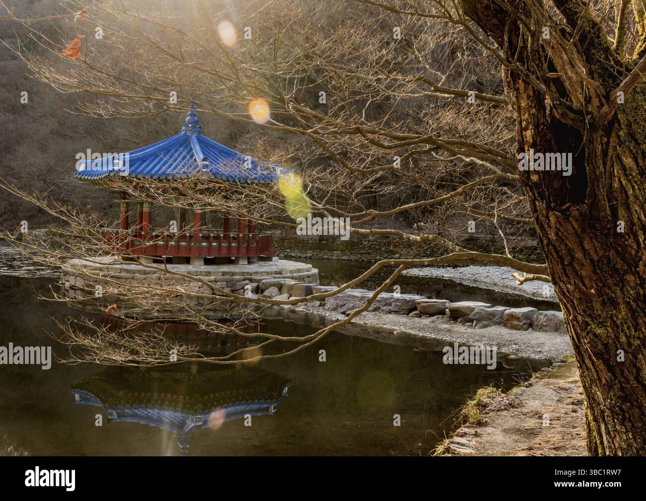 Jeongeup-si, Corea del Sud. 8 dicembre 2020: Padiglione per picnic con tetto in piastrelle blu su un'isola di pietra al centro di un piccolo laghetto Foto Stock