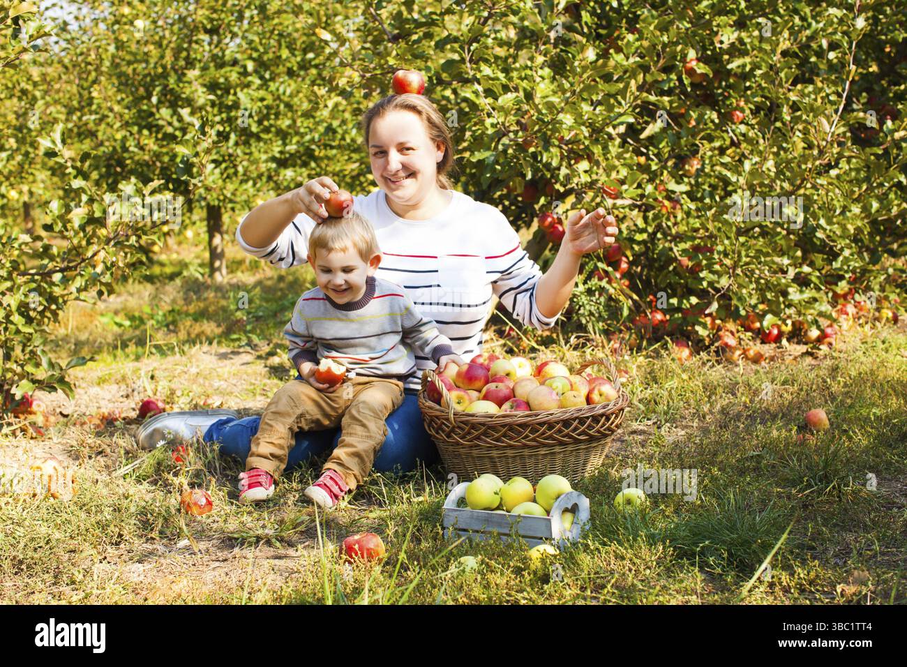 Famiglia felice che raccoglie le mele in una fattoria. Madre e figlio si divertono insieme all'aperto nelle giornate di sole Foto Stock