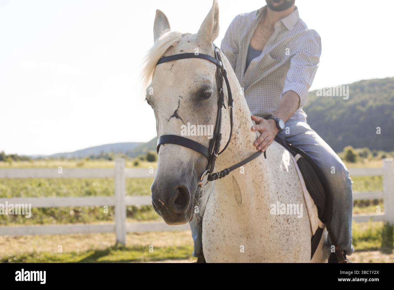 Il bell'uomo barbuto cavalca un cavallo bianco sul ranch. L'uomo batte il collo del cavallo Foto Stock