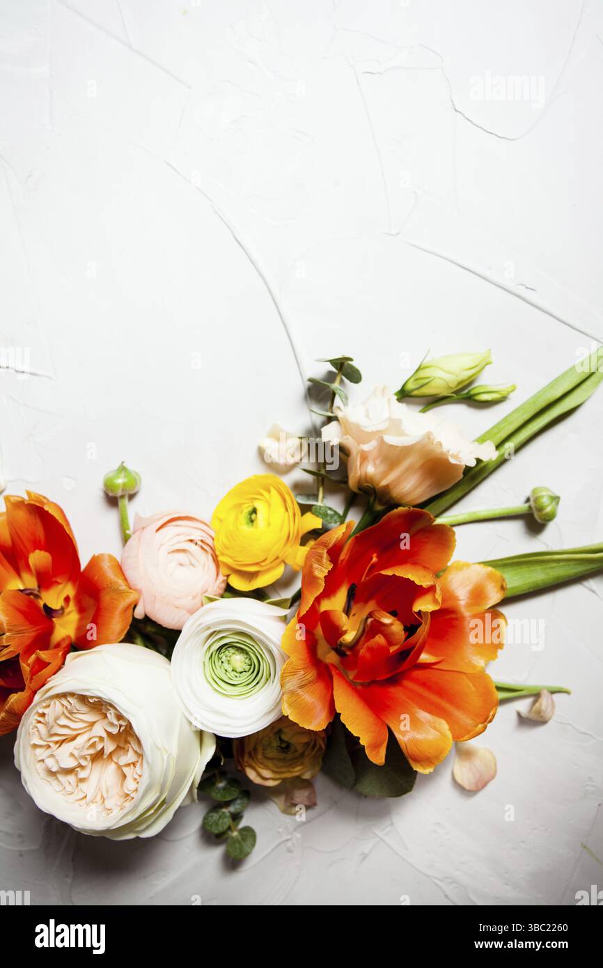 Creative fiori arancio e beige piatto cornice per il design Foto Stock