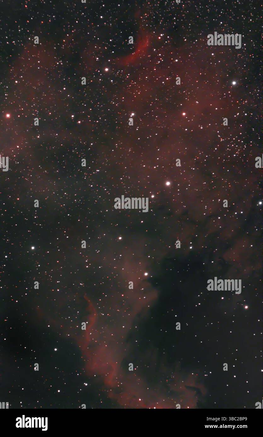 NGC 7000, la Nebulosa del Nord America, una nebulosa di emissione nella costellazione di Cygnus e a 1700 anni luce dalla Terra. La nebulosa si illumina di rosso a causa del gas idrogeno presente nella nuvola. Foto Stock
