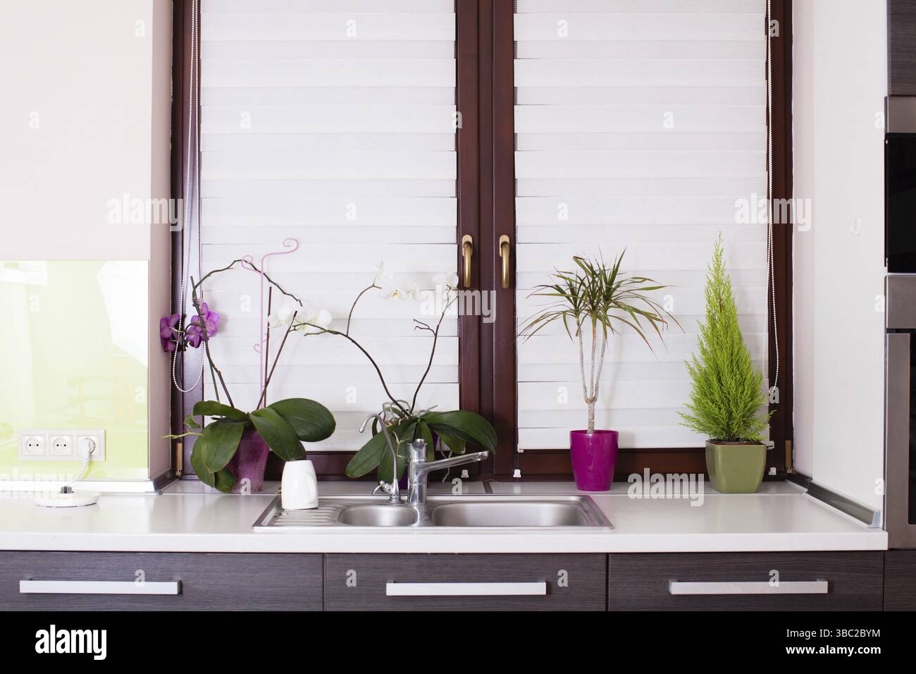 Finestra della cucina chiusa con fiori, design interno Foto Stock